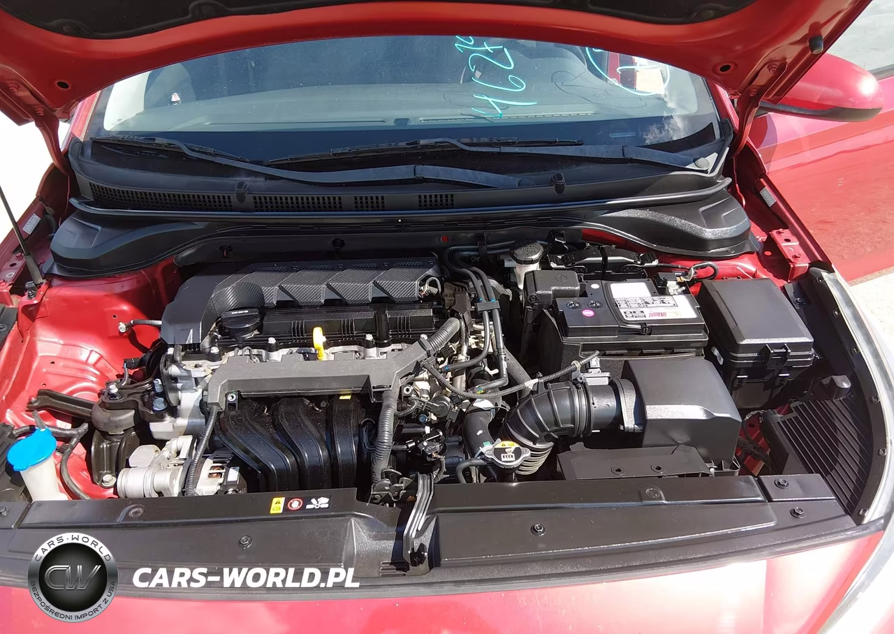 2020 Hyundai Accent Se VIN:3KPC24A67LE096724 - 10