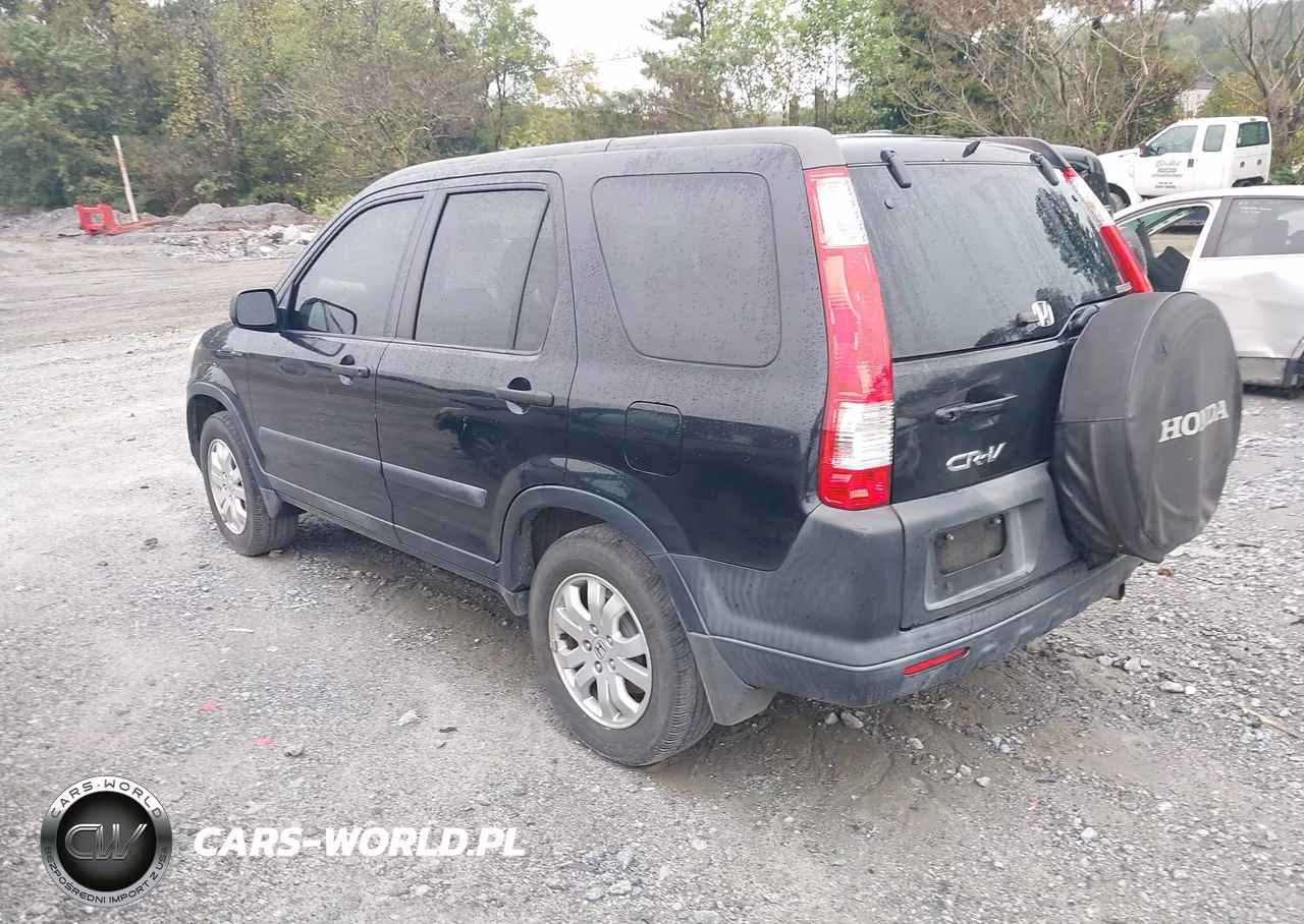 2005 Honda Cr-V Ex VIN:SHSRD78815U341102 - 3