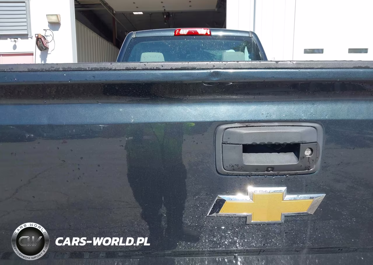 2017 Chevrolet Silverado 3500Hd Wt VIN:1GC3KYCG8HZ329535 - 13