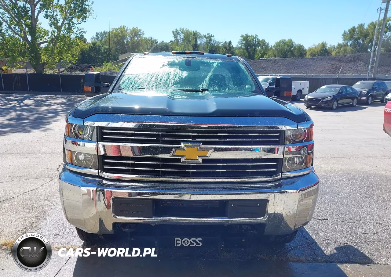 2017 Chevrolet Silverado 3500Hd Wt VIN:1GC3KYCG8HZ329535 - 18