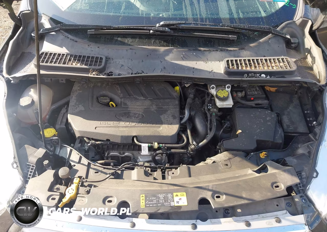 2018 Ford Escape Se VIN:1FMCU0GD6JUD56825 - 10