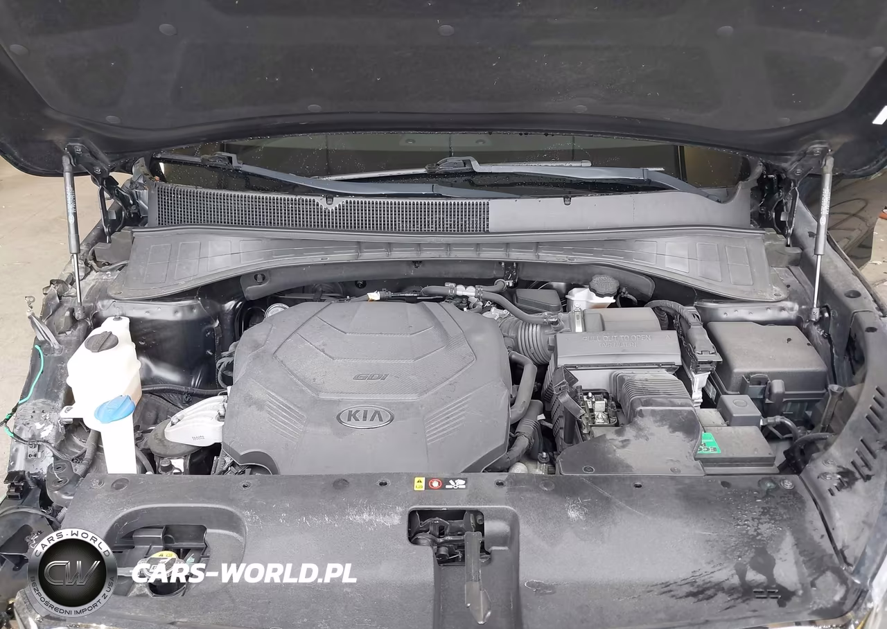 2019 Kia Sorento 3.3L Sxl VIN:5XYPKDA50KG539290 - 10