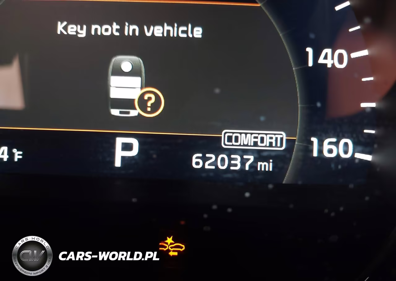 2019 Kia Sorento 3.3L Sxl VIN:5XYPKDA50KG539290 - 16