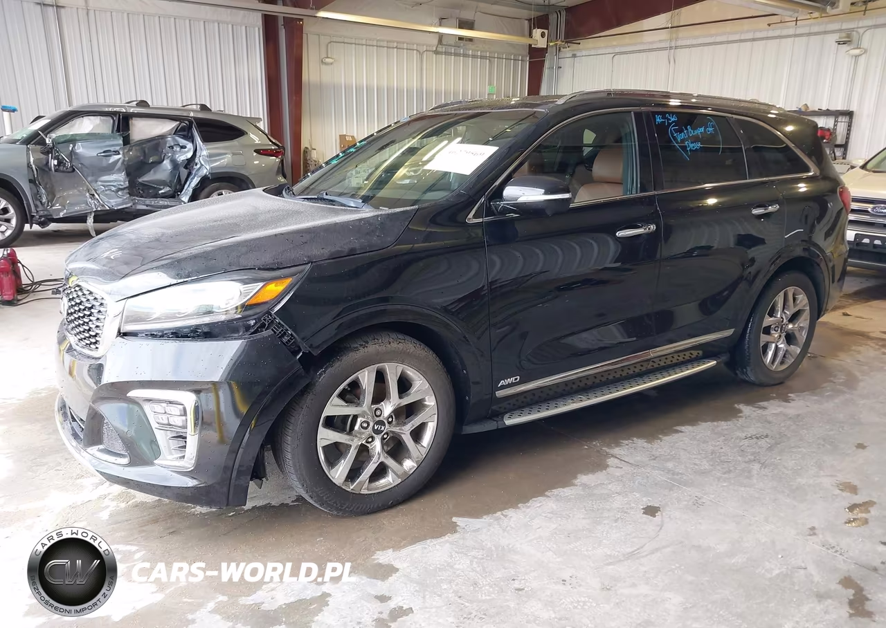 2019 Kia Sorento 3.3L Sxl VIN:5XYPKDA50KG539290 - 2