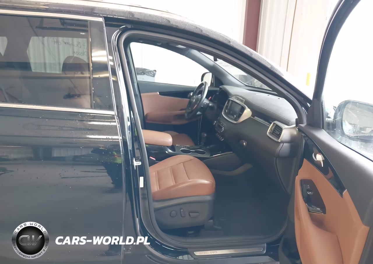 2019 Kia Sorento 3.3L Sxl VIN:5XYPKDA50KG539290 - 5