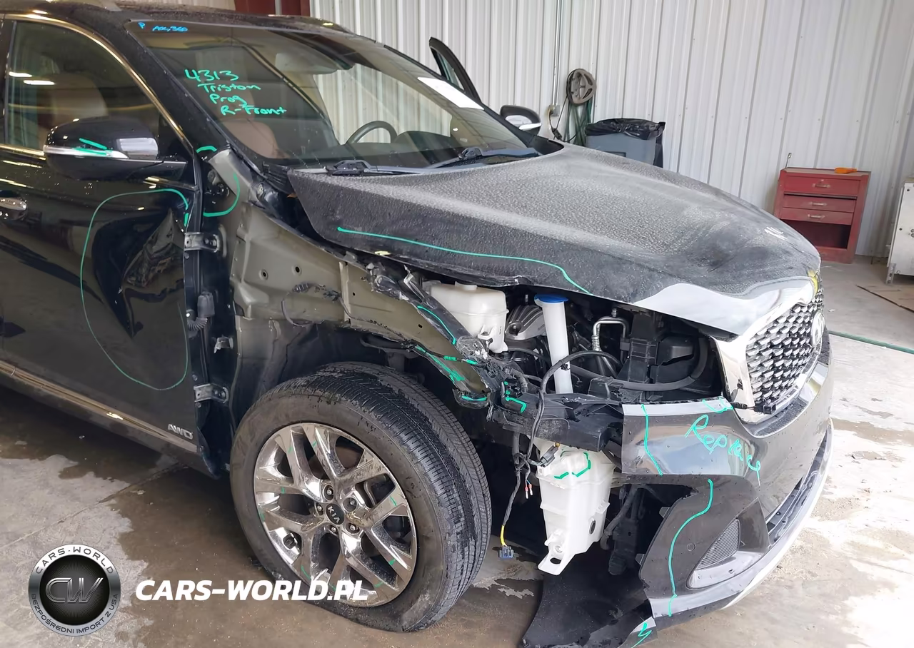 2019 Kia Sorento 3.3L Sxl VIN:5XYPKDA50KG539290 - 6