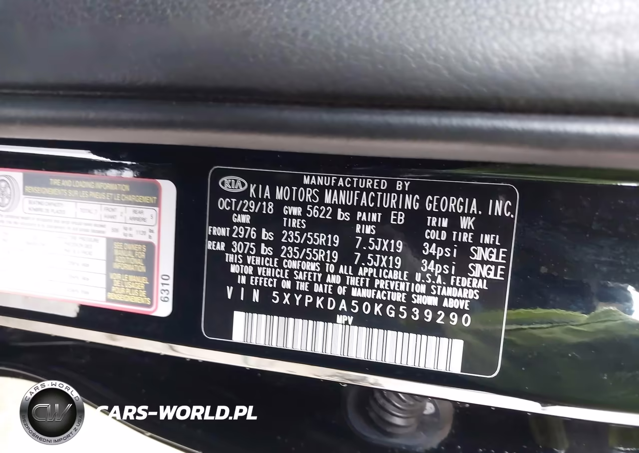 2019 Kia Sorento 3.3L Sxl VIN:5XYPKDA50KG539290 - 9