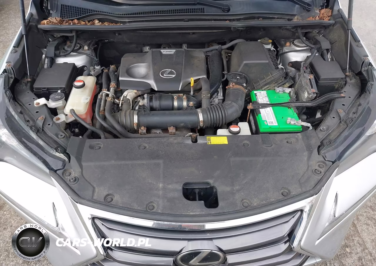 2015 Lexus Nx 200T VIN:JTJBARBZ5F2022074 - 10