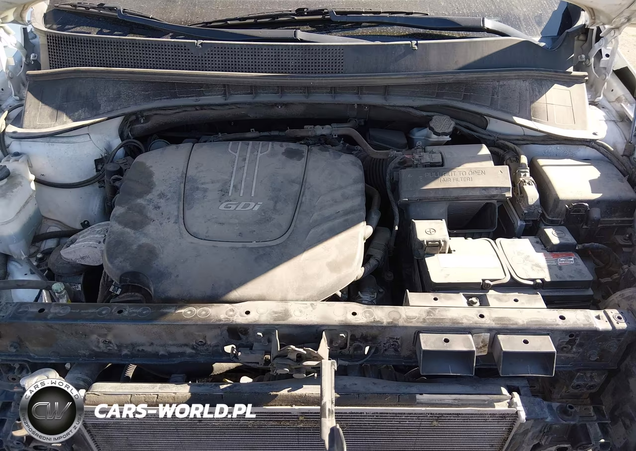 2017 Kia Sorento 3.3L Ex VIN:5XYPHDA54HG308318 - 10