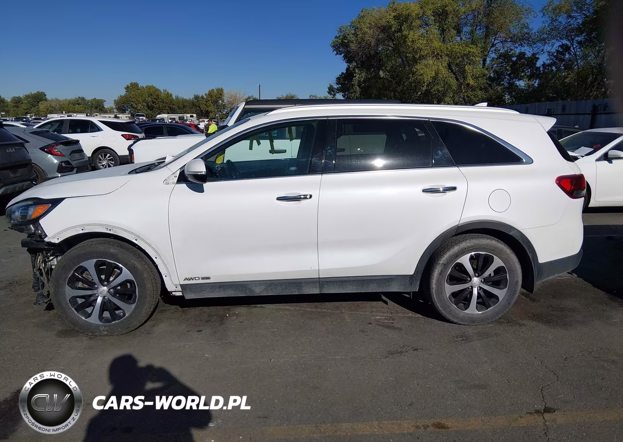 2017 Kia Sorento 3.3L Ex VIN:5XYPHDA54HG308318 - 15