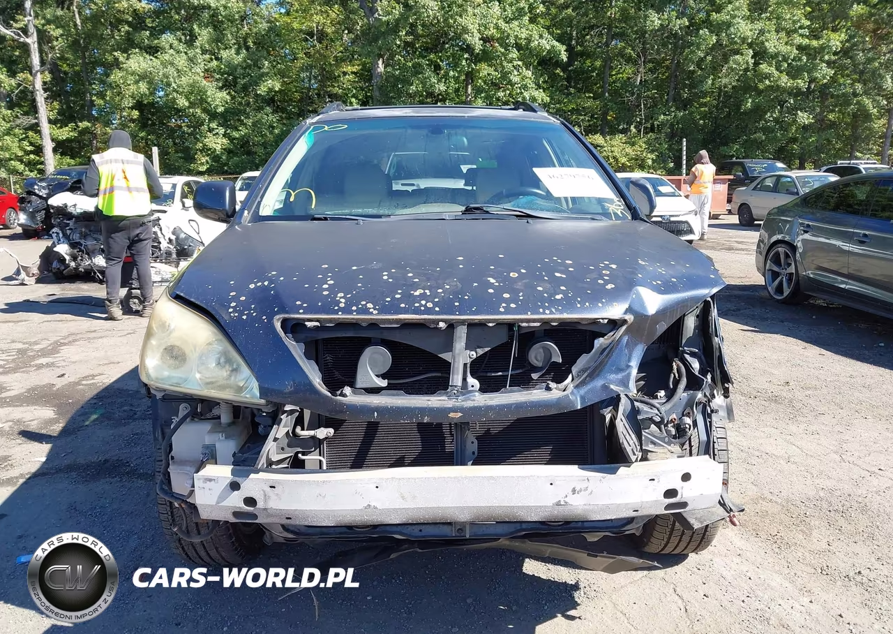 2004 Lexus Rx 330 VIN:JTJHA31U140051593 - 12