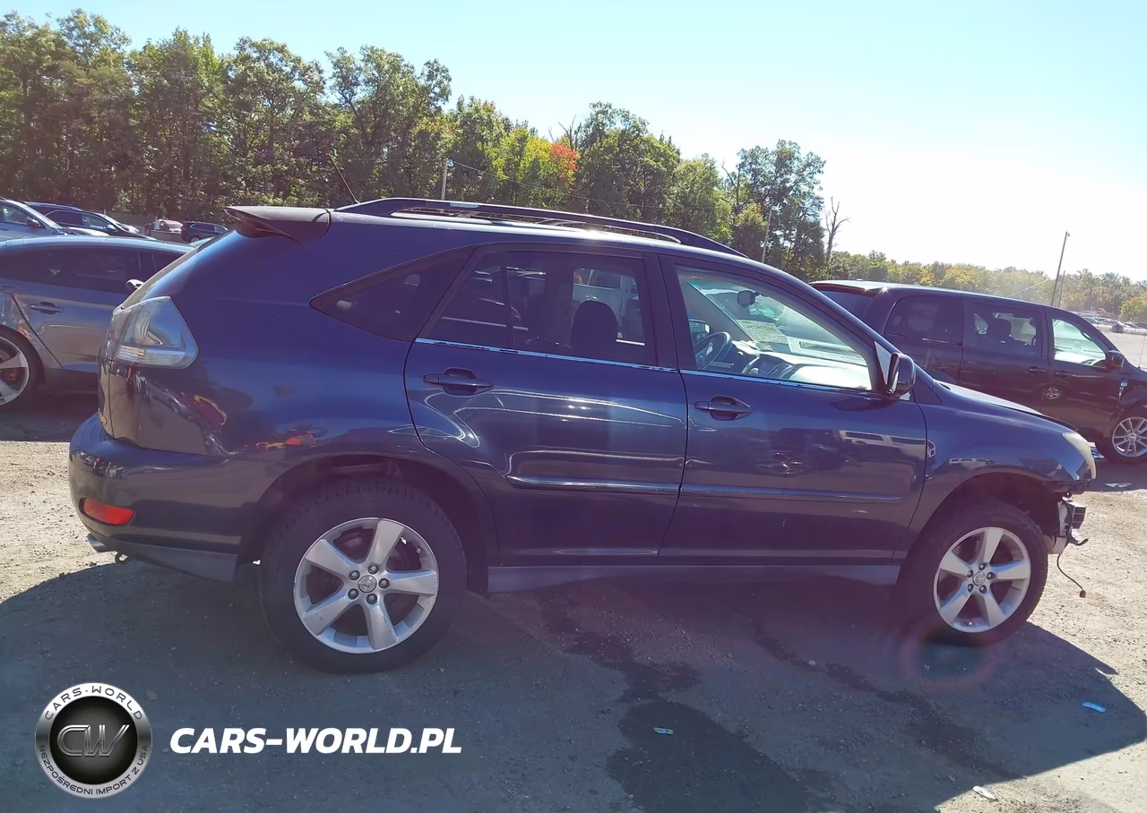 2004 Lexus Rx 330 VIN:JTJHA31U140051593 - 13