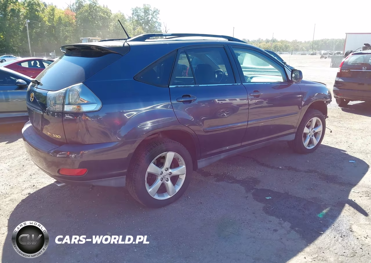2004 Lexus Rx 330 VIN:JTJHA31U140051593 - 4
