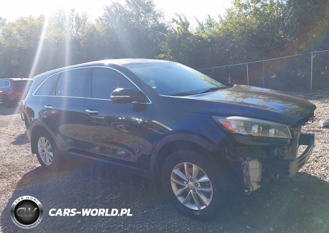 2017 Kia Sorento 2.4L L VIN:5XYPG4A32HG246404 - 14