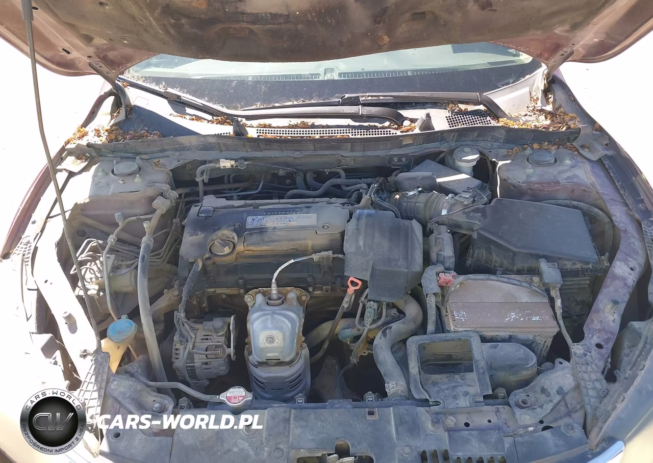 2013 Honda Accord Lx VIN:1HGCR2F39DA172576 - 10