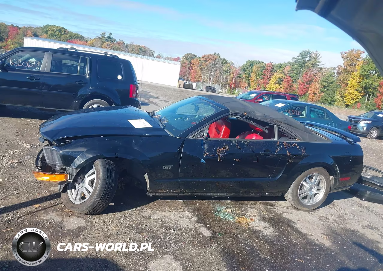 2005 Ford Mustang Gt VIN:1ZVHT85H355238729 - 15