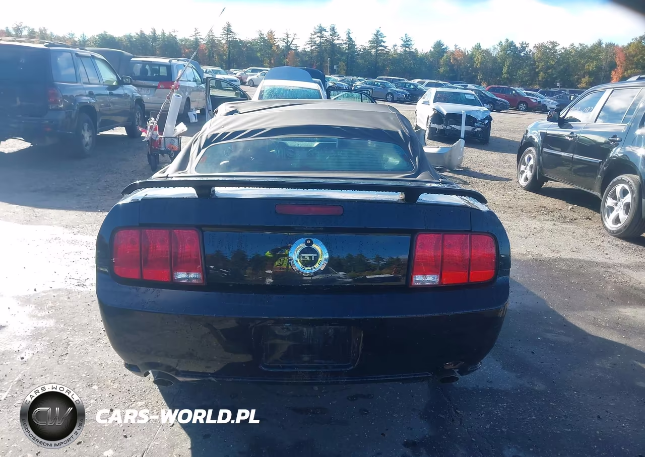 2005 Ford Mustang Gt VIN:1ZVHT85H355238729 - 17