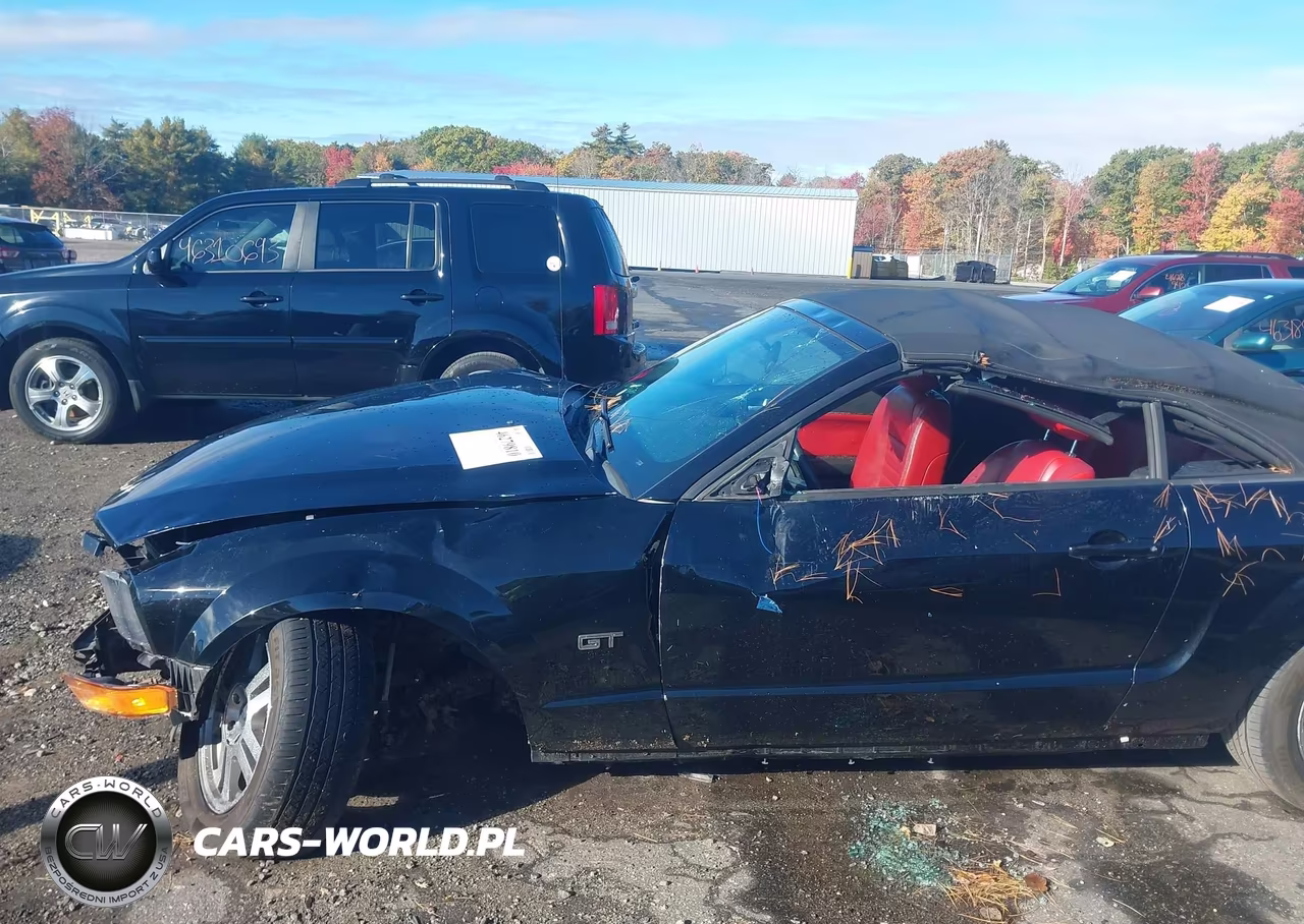 2005 Ford Mustang Gt VIN:1ZVHT85H355238729 - 18