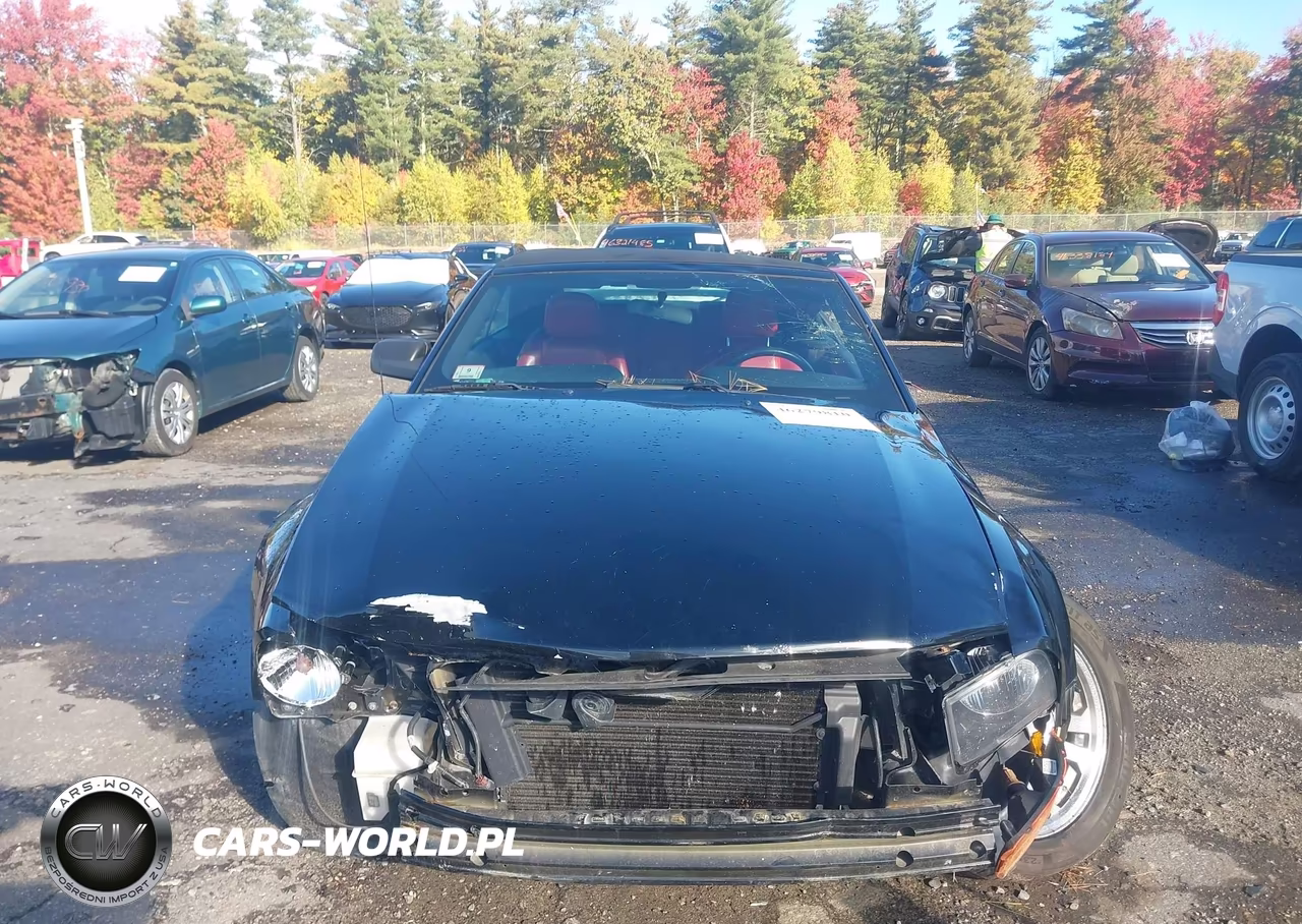 2005 Ford Mustang Gt VIN:1ZVHT85H355238729 - 19