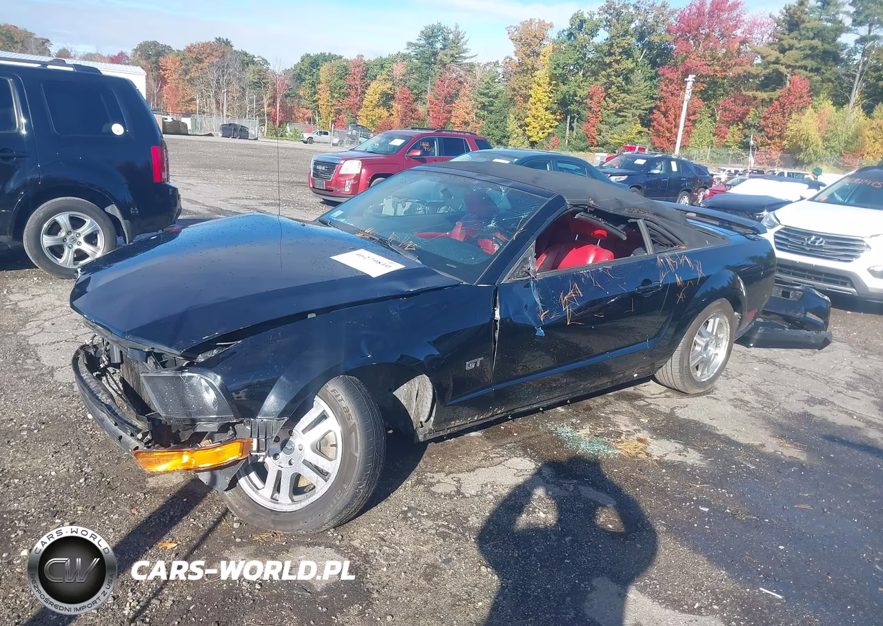 2005 Ford Mustang Gt VIN:1ZVHT85H355238729 - 2