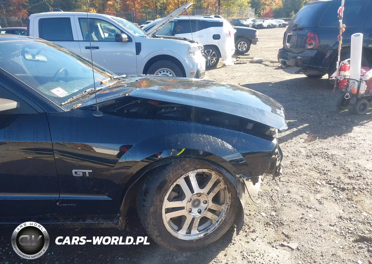 2005 Ford Mustang Gt VIN:1ZVHT85H355238729 - 20