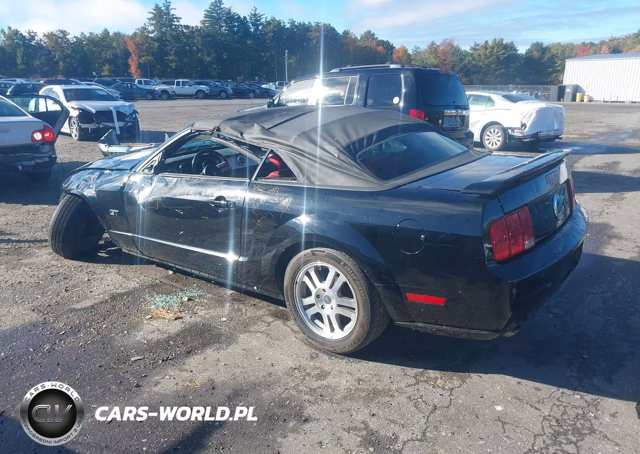 2005 Ford Mustang Gt VIN:1ZVHT85H355238729 - 3