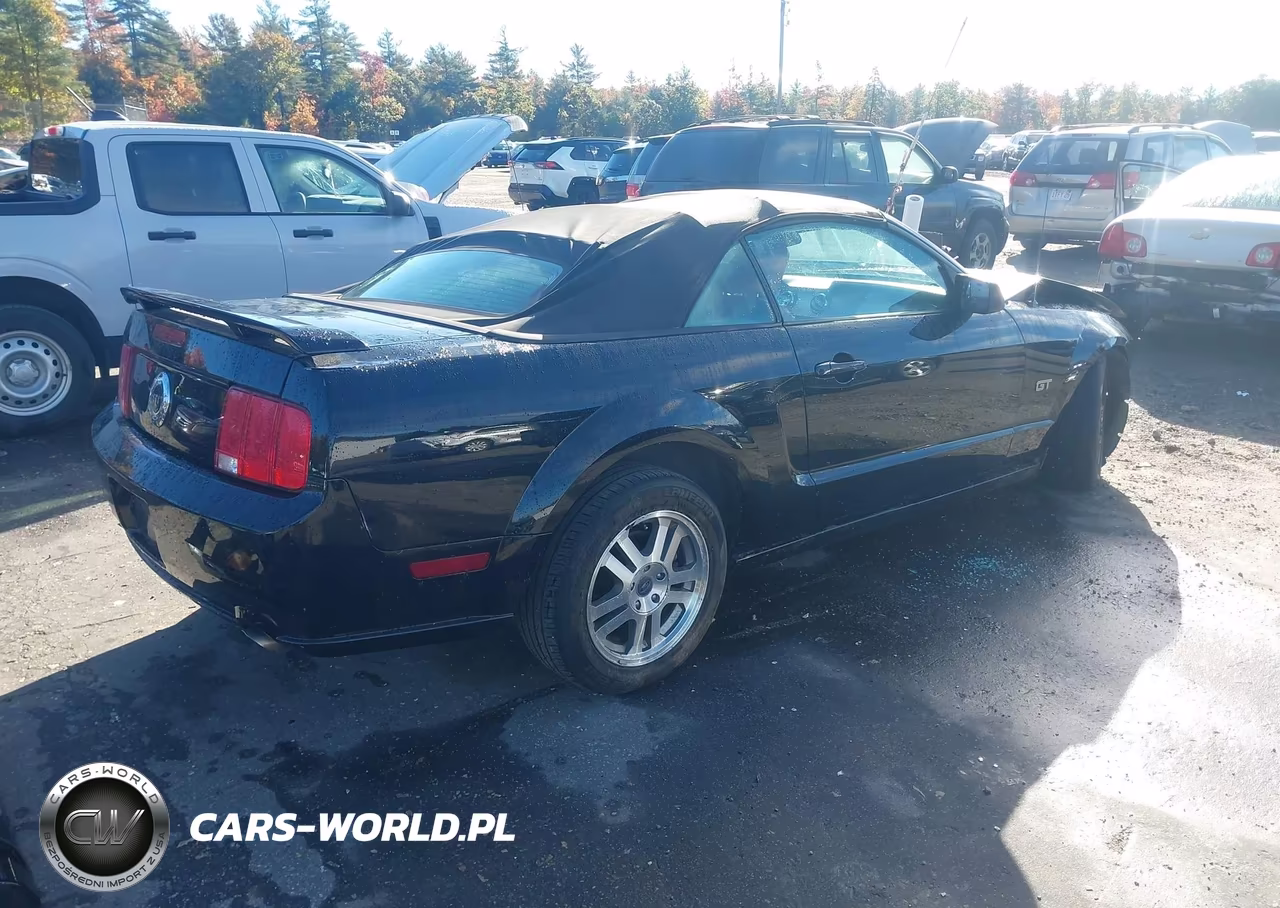 2005 Ford Mustang Gt VIN:1ZVHT85H355238729 - 4