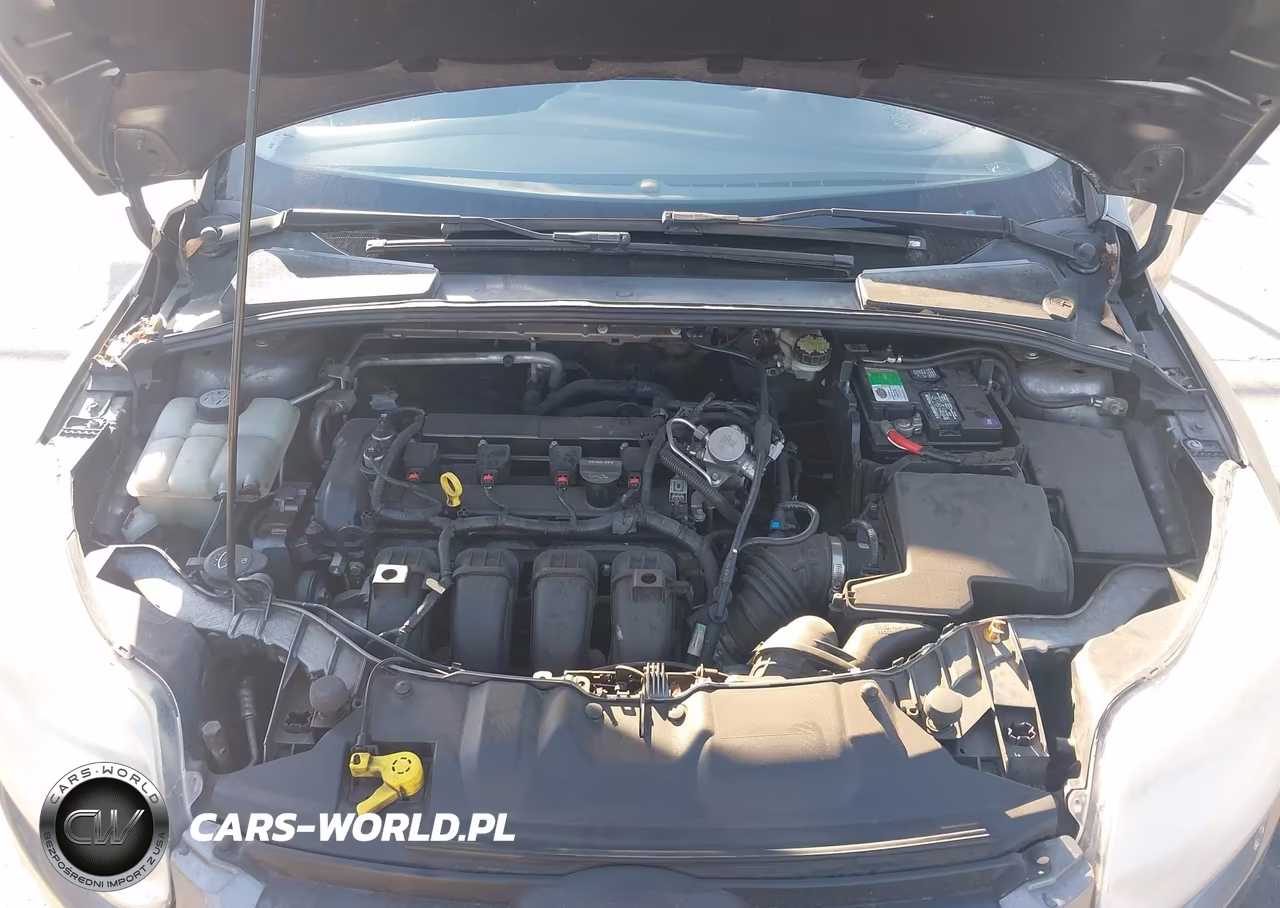 2014 Ford Focus Se VIN:1FADP3F23EL199502 - 10