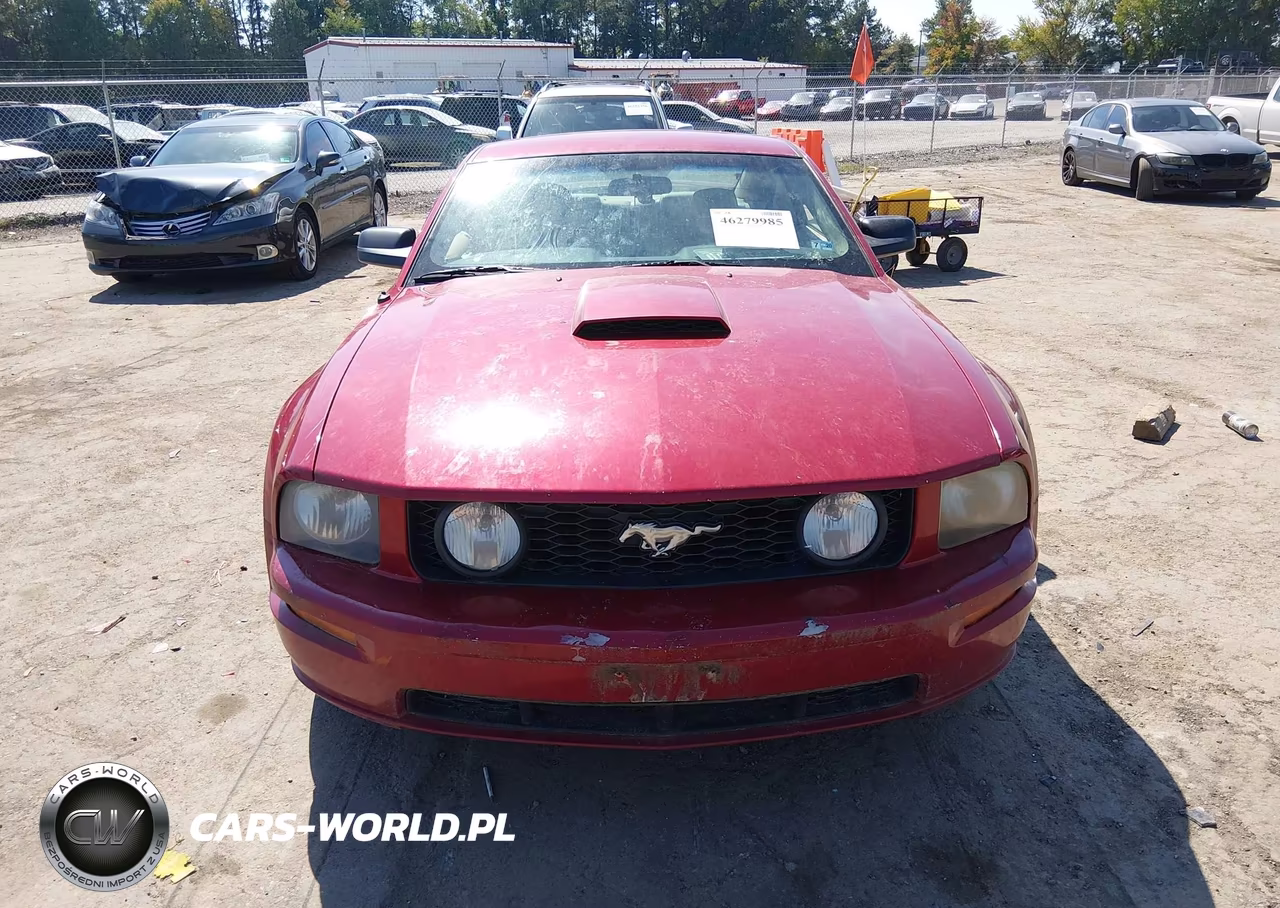 2008 Ford Mustang Gt Deluxe-Gt Premium VIN:1ZVHT82H485138695 - 12