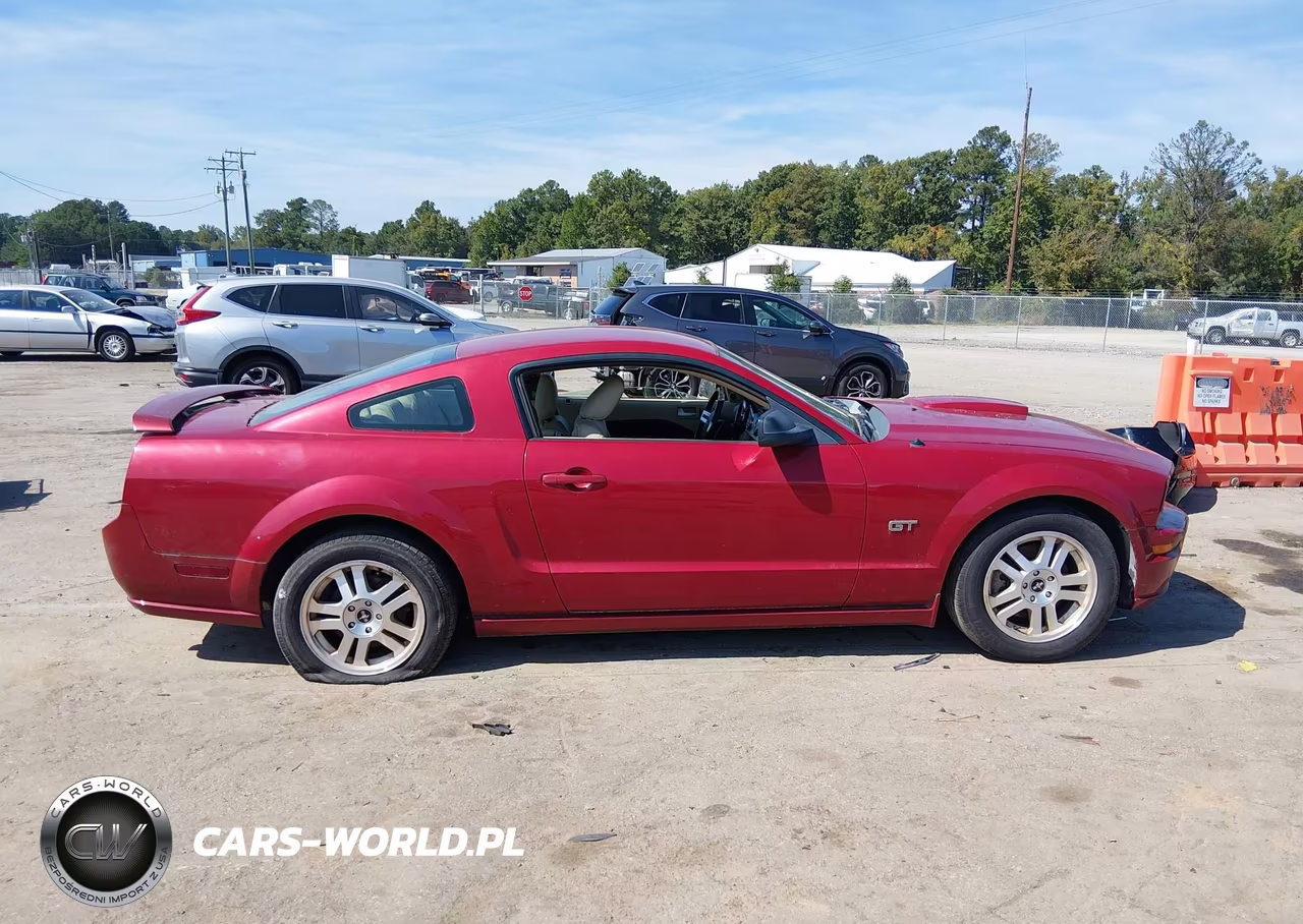 2008 Ford Mustang Gt Deluxe-Gt Premium VIN:1ZVHT82H485138695 - 13