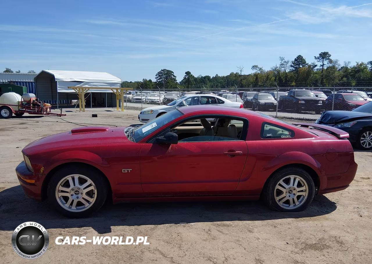 2008 Ford Mustang Gt Deluxe-Gt Premium VIN:1ZVHT82H485138695 - 14