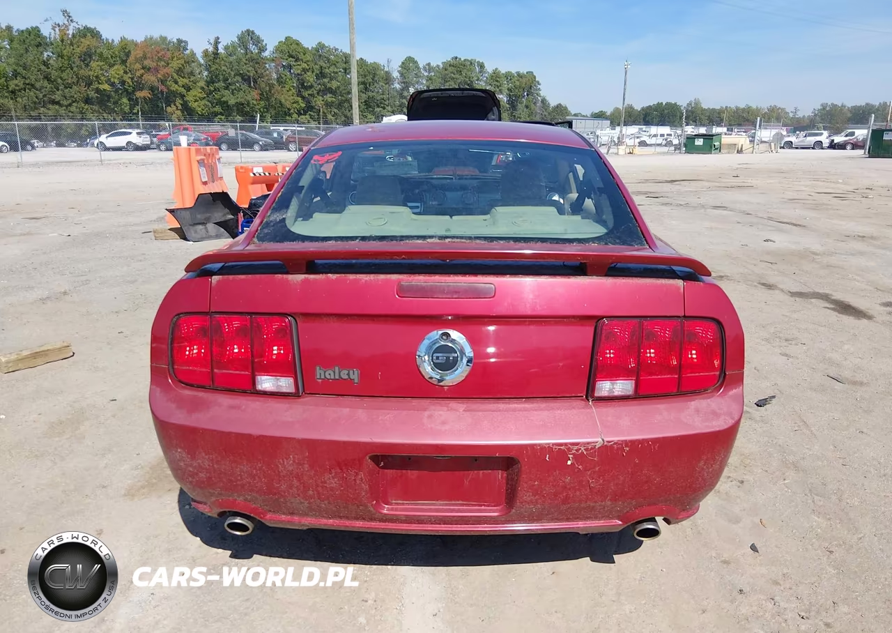 2008 Ford Mustang Gt Deluxe-Gt Premium VIN:1ZVHT82H485138695 - 16