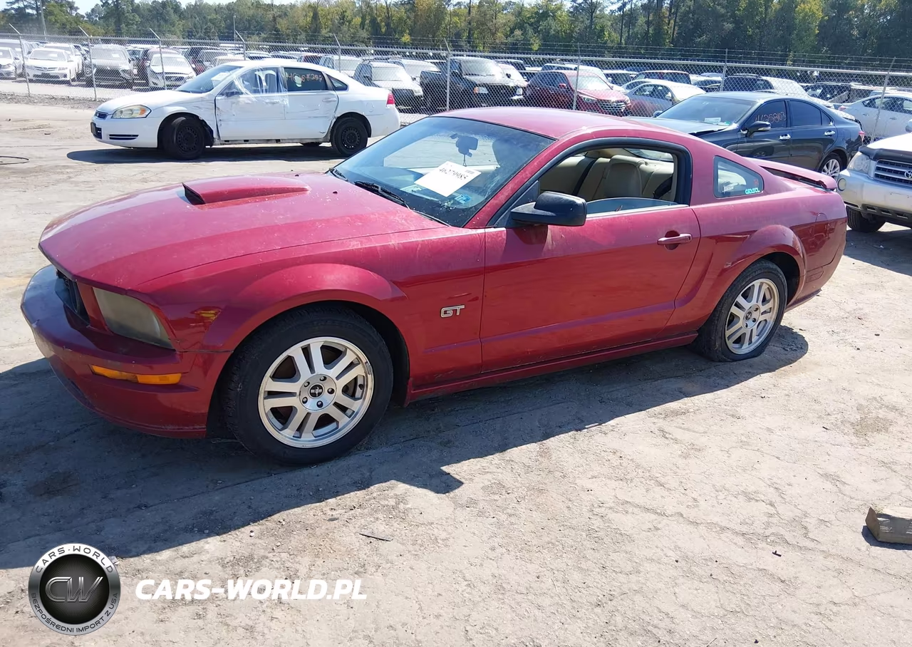 2008 Ford Mustang Gt Deluxe-Gt Premium VIN:1ZVHT82H485138695 - 2