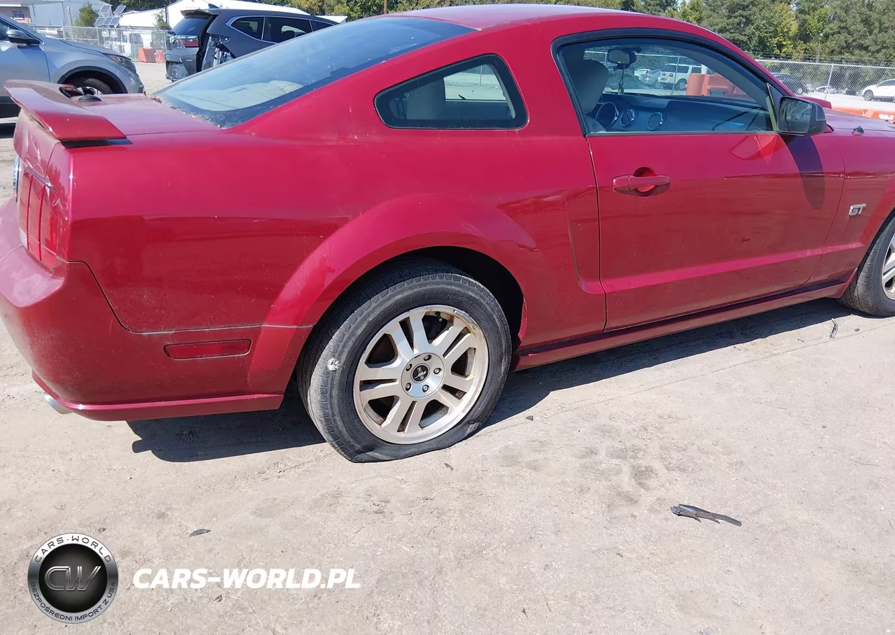 2008 Ford Mustang Gt Deluxe-Gt Premium VIN:1ZVHT82H485138695 - 6