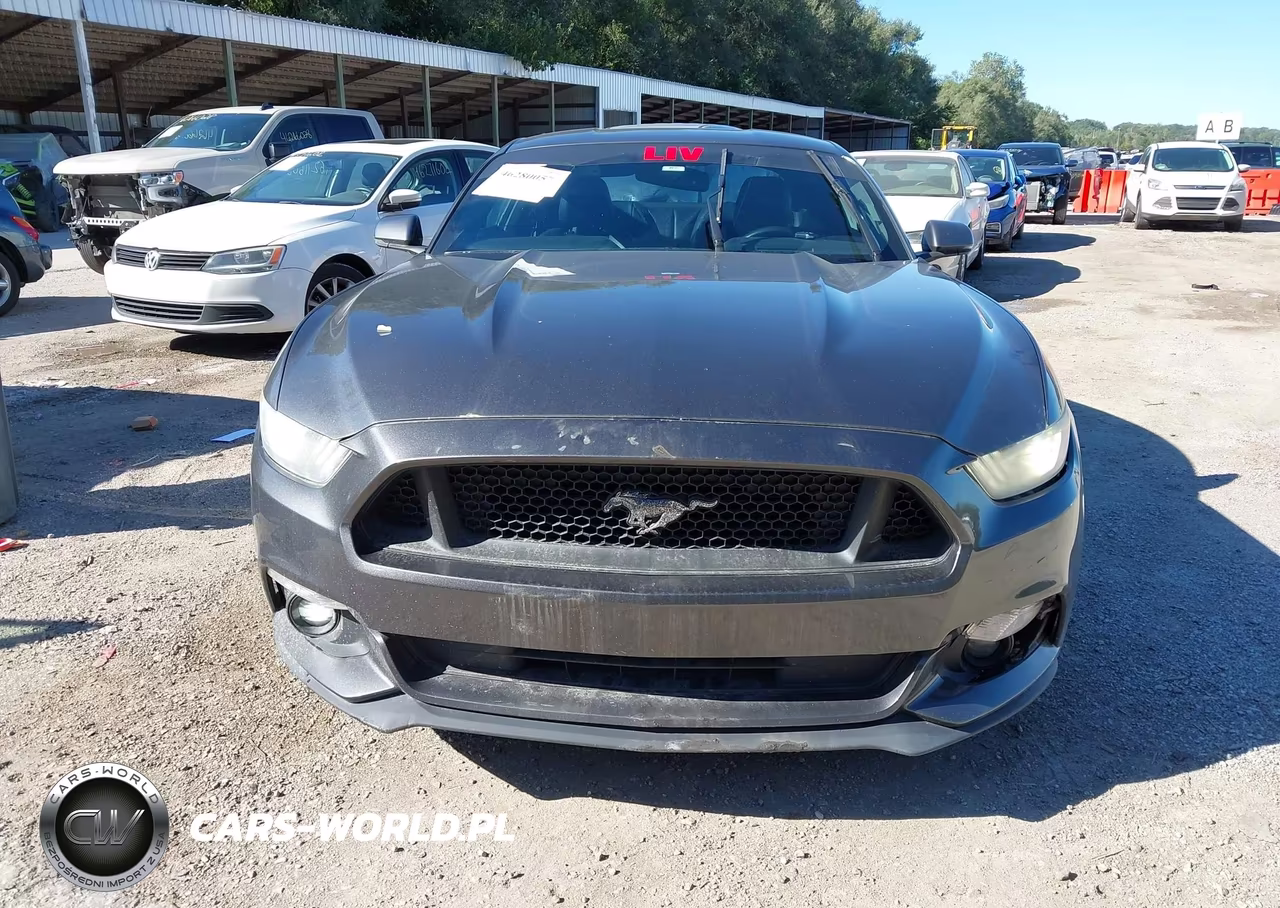 2015 Ford Mustang Ecoboost VIN:1FA6P8TH7F5382762 - 12