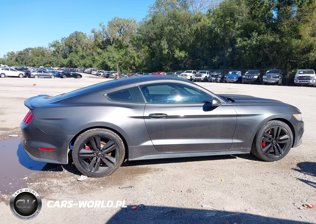 2015 Ford Mustang Ecoboost VIN:1FA6P8TH7F5382762 - 13