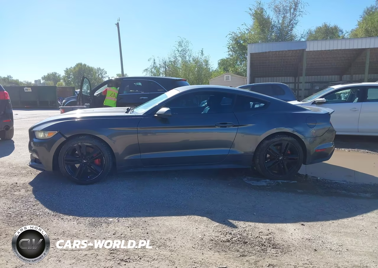 2015 Ford Mustang Ecoboost VIN:1FA6P8TH7F5382762 - 14