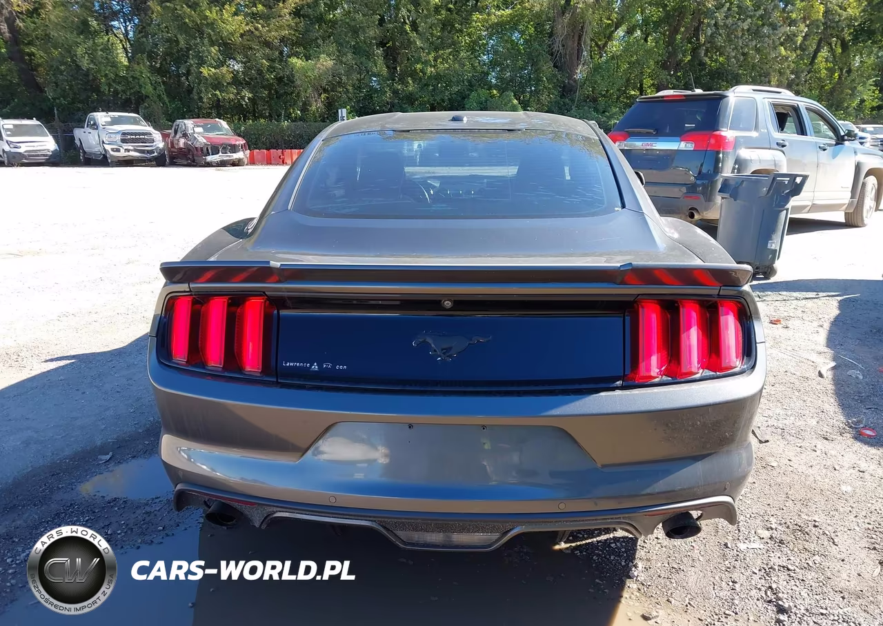 2015 Ford Mustang Ecoboost VIN:1FA6P8TH7F5382762 - 16