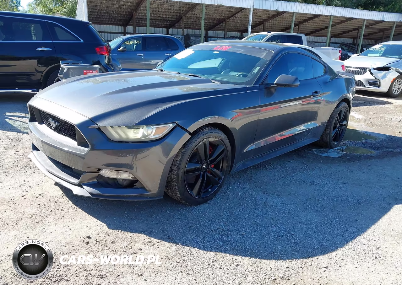 2015 Ford Mustang Ecoboost VIN:1FA6P8TH7F5382762 - 2