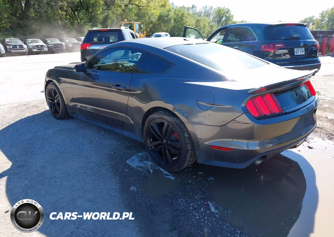2015 Ford Mustang Ecoboost VIN:1FA6P8TH7F5382762 - 3