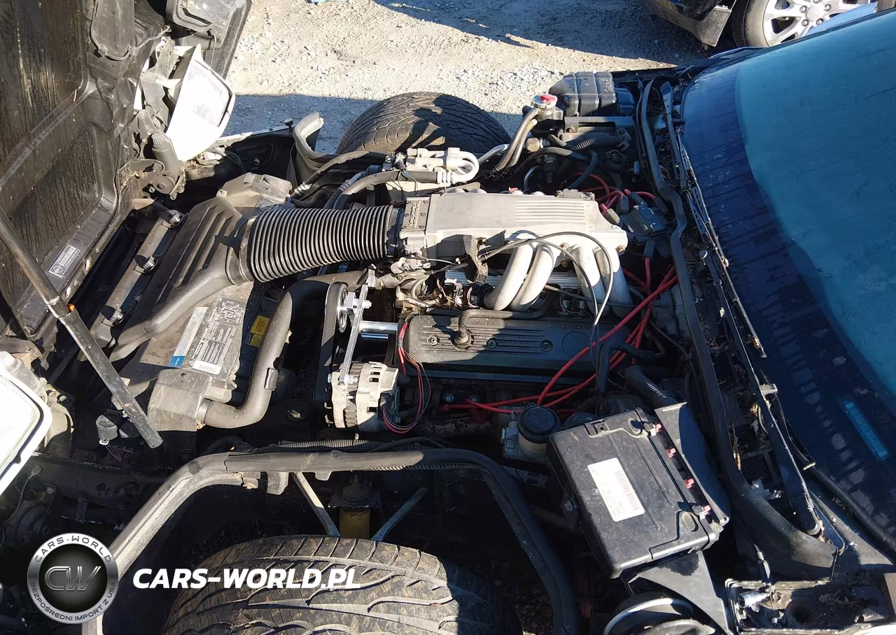 1991 Chevrolet Corvette VIN:1G1YY2382M5102104 - 10
