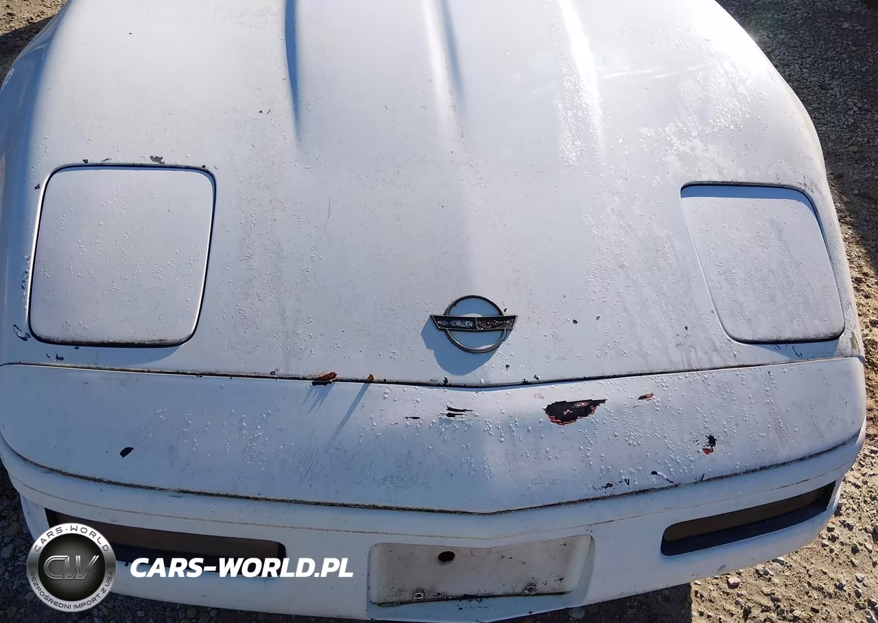 1991 Chevrolet Corvette VIN:1G1YY2382M5102104 - 14