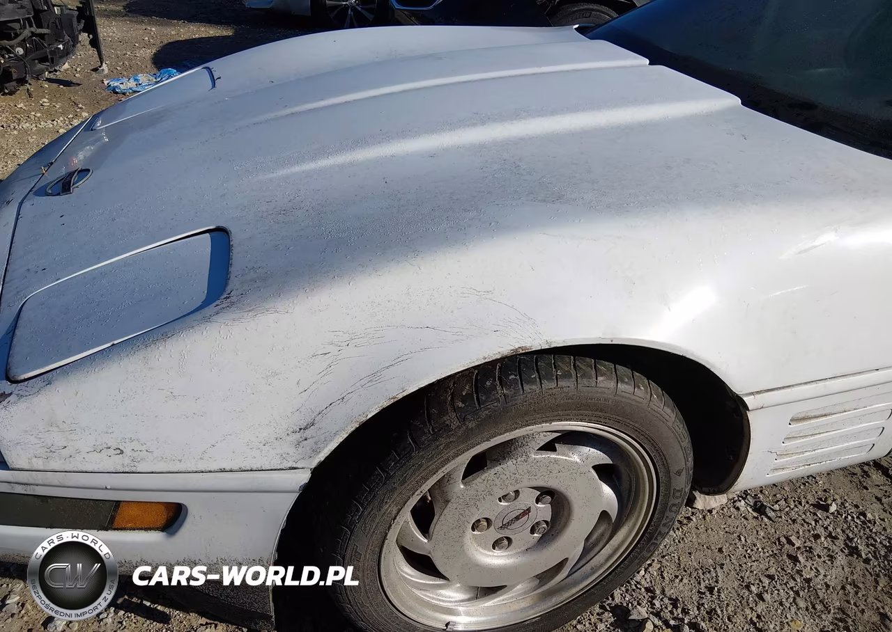 1991 Chevrolet Corvette VIN:1G1YY2382M5102104 - 15