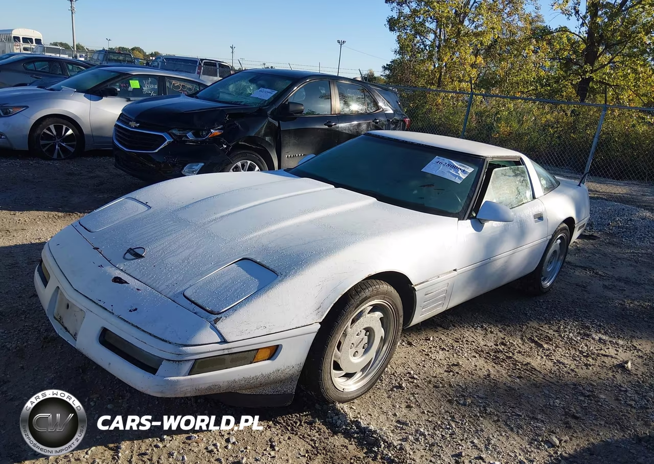 1991 Chevrolet Corvette VIN:1G1YY2382M5102104 - 2