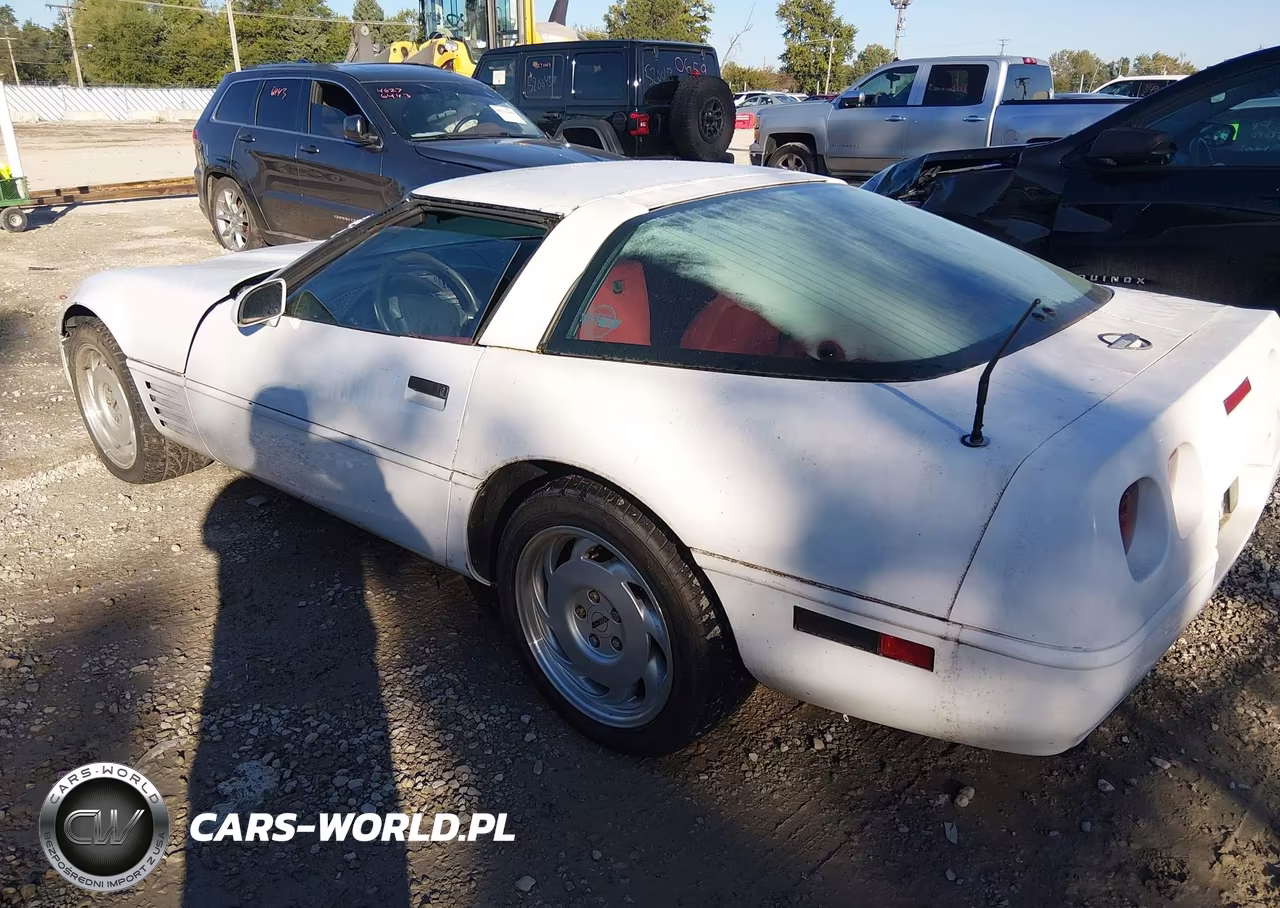 1991 Chevrolet Corvette VIN:1G1YY2382M5102104 - 3