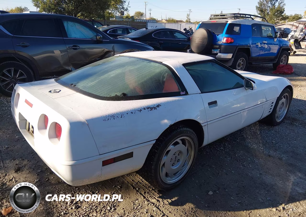 1991 Chevrolet Corvette VIN:1G1YY2382M5102104 - 4