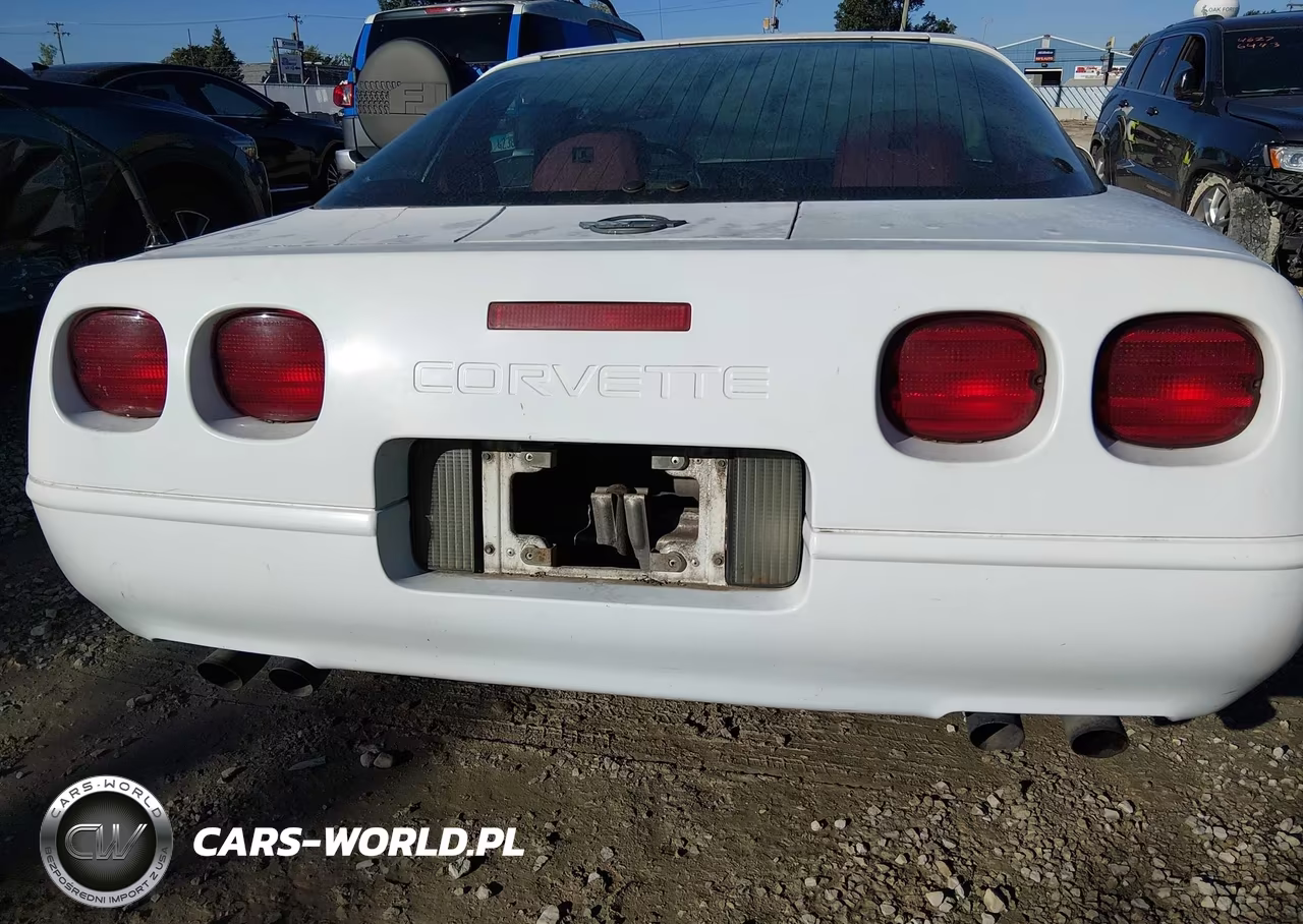 1991 Chevrolet Corvette VIN:1G1YY2382M5102104 - 6