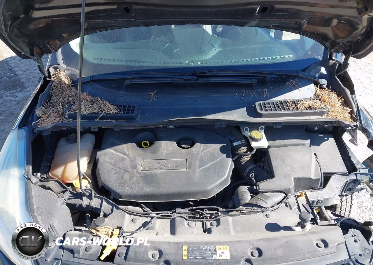 2014 Ford Escape Titanium VIN:1FMCU0J99EUE57934 - 10
