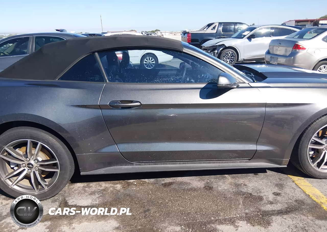 2017 Ford Mustang Ecoboost Premium VIN:1FATP8UH9H5217915 - 13