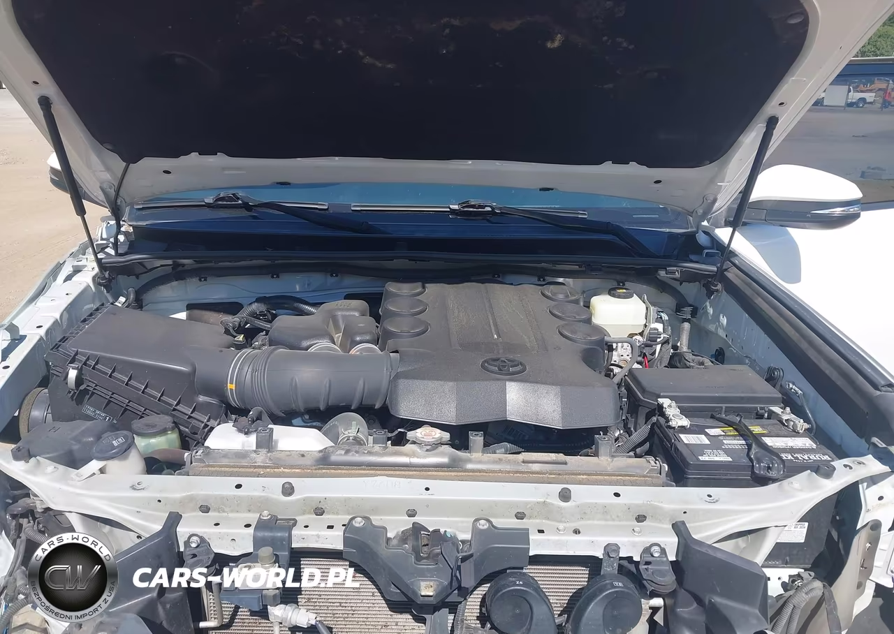 2019 Toyota 4Runner Trd Off Road Premium VIN:JTEBU5JR8K5611211 - 10